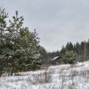 Пришла зима в конце зимы